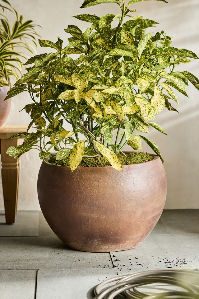 Terracotta Globe Planter #3