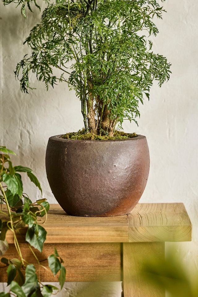 Terracotta Globe Planter #8