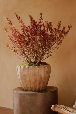 Terrain Ribbed Terracotta Low Taper Pot In Beige
