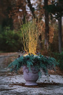 Floral Swag Terracotta Urn