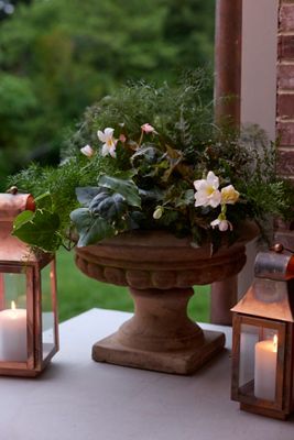 Classical Terracotta Urn Planter