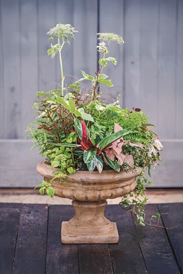 Classical Terracotta Urn Planter