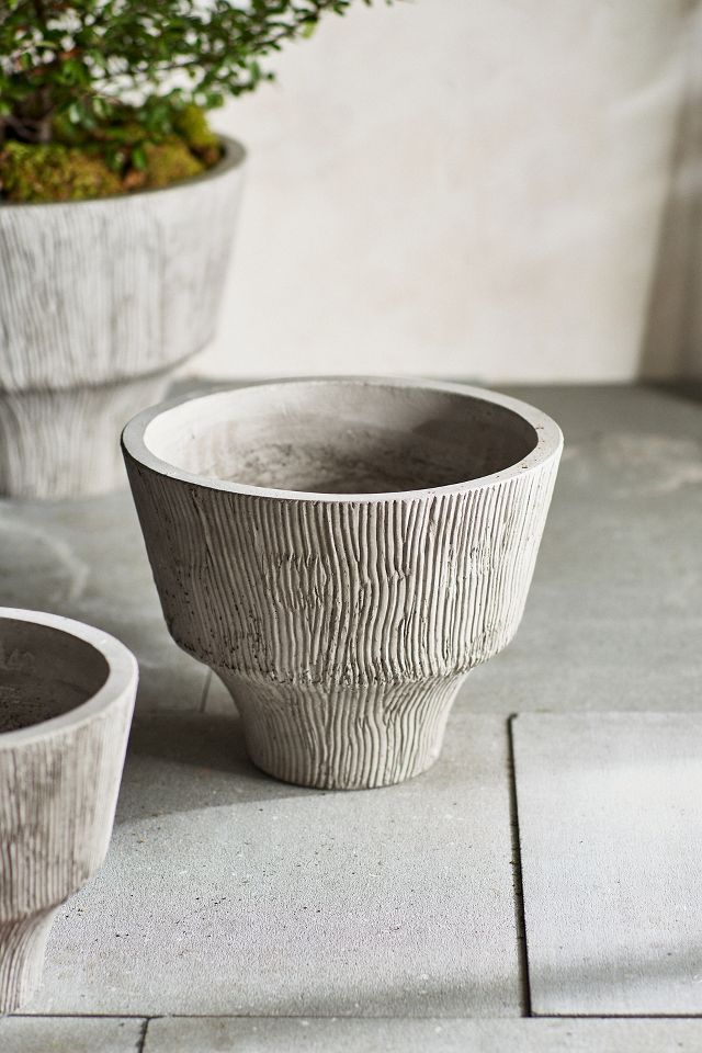 Fluted Textured Concrete Planter | Anthropologie