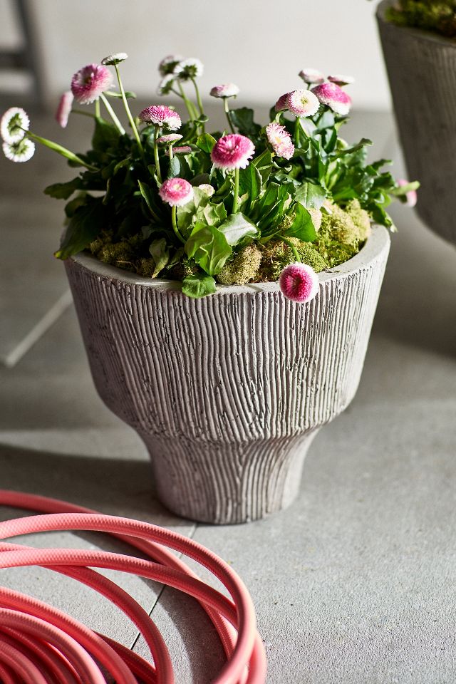 Fluted Textured Concrete Planter | Anthropologie