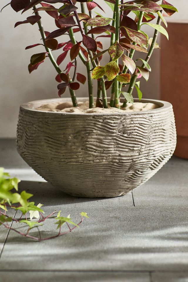 Wavy Concrete Bowl Planter #1