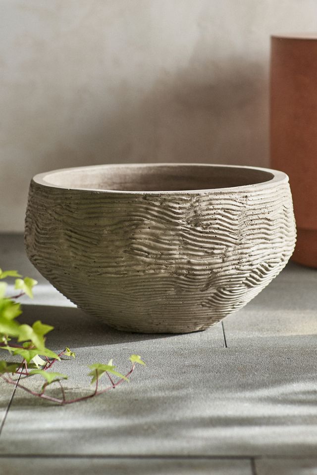 Wavy Concrete Bowl Planter #3
