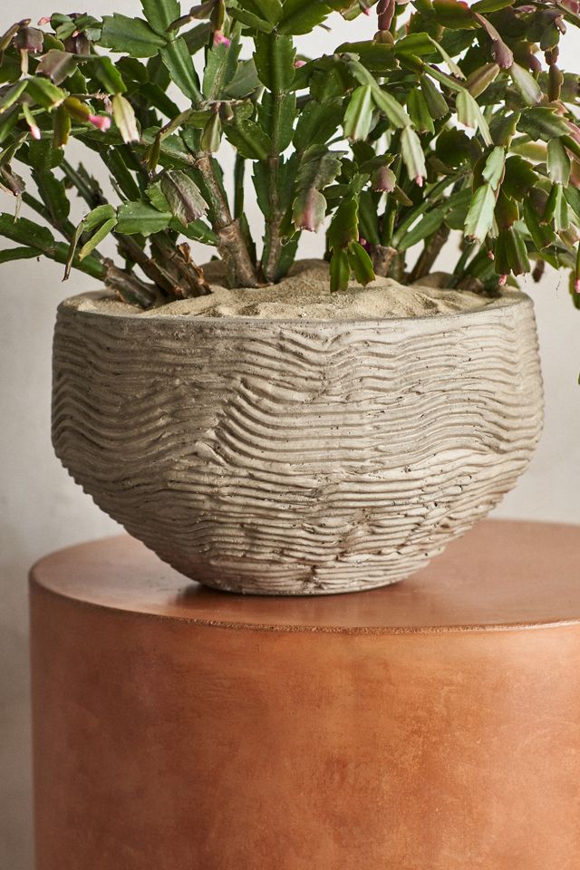 Wavy Concrete Bowl Planter #4