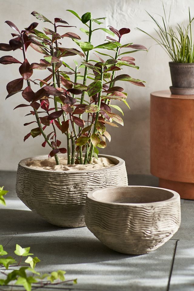 Large top Bowl Planter in Terra Cotta Concrete