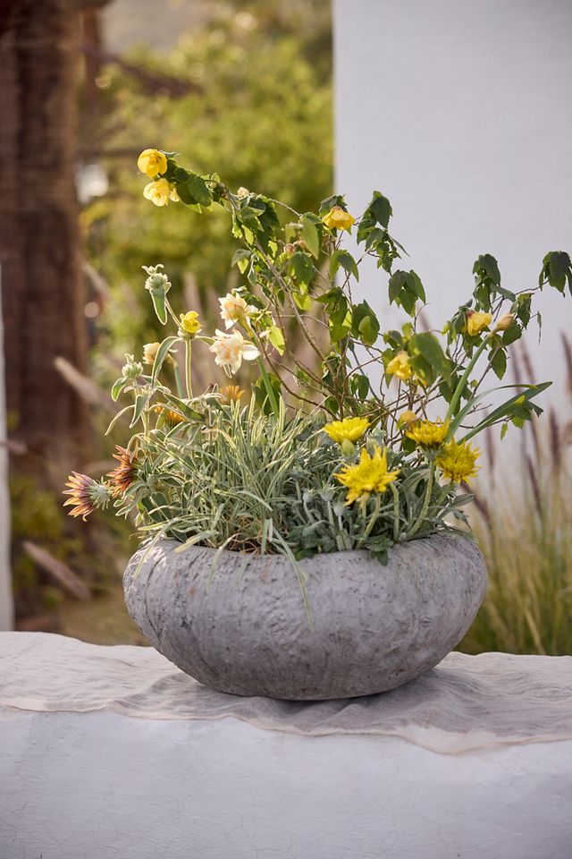 Fiber Concrete Shoulder Bowl Planter | Terrain