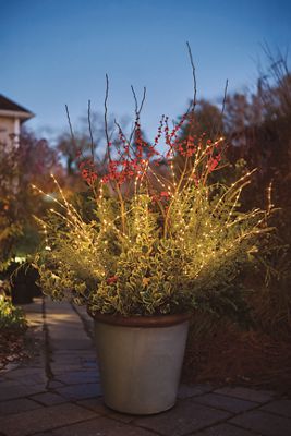 Raw Rim Stoneware Taper Planter