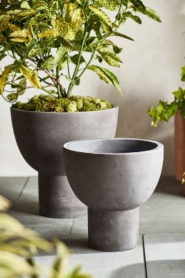 Terrain Footed Bowl Concrete Planter In Gray