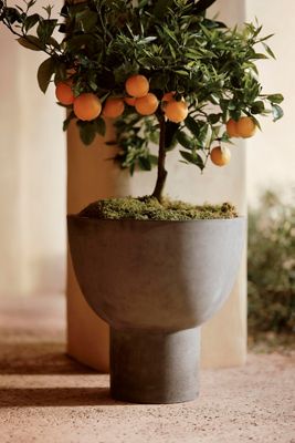 Footed Bowl Concrete Planter