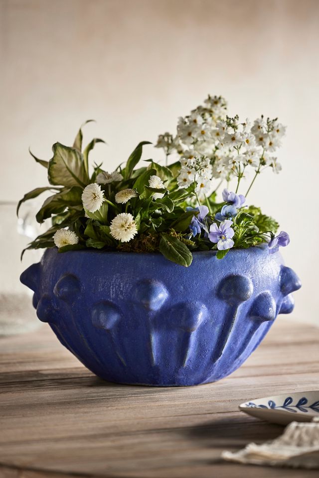 Knobby Blue Stoneware Bowl Planter #1