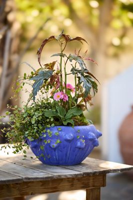 Planters, Flower Pots + Garden Planters