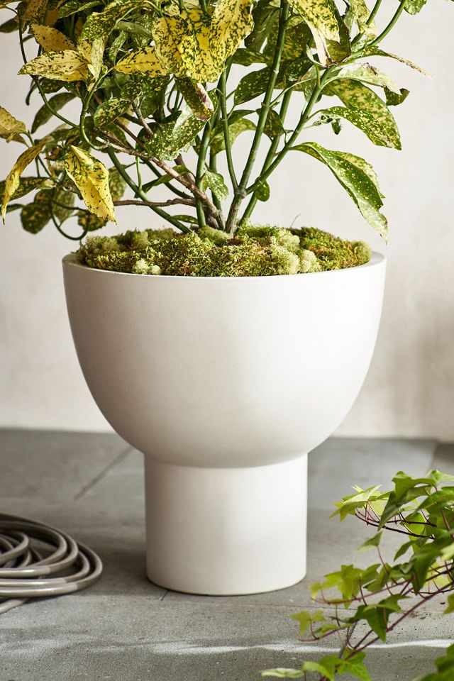 Pedestal Bowl Concrete Planter #1