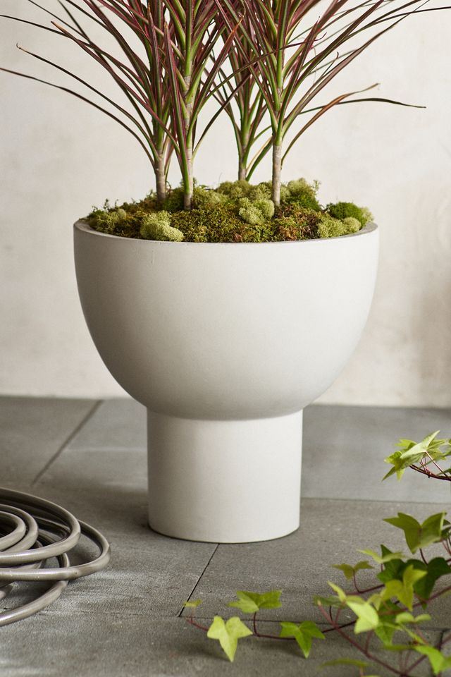 Pedestal Bowl Concrete Planter #4