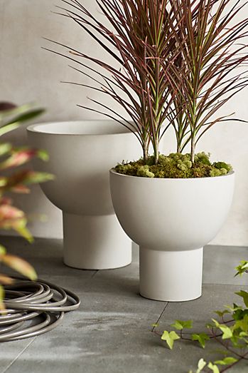 Pedestal Bowl Concrete Planter