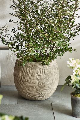 Terrain Wavy Concrete Orb Planter In Neutral