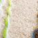 Ivory Pattern