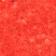 Beach / Tomato Dot
