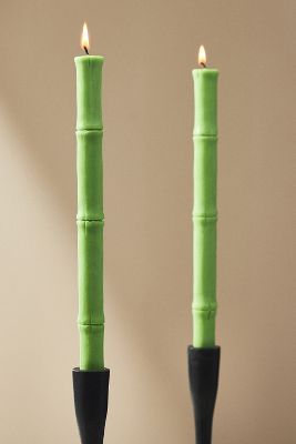 Shop By Anthropologie Bamboo Taper Candles, Set Of 2 In Green