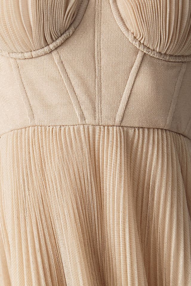 Hutch Amara Corset Pleated Tulle Fit & Flare Midi Dress #5