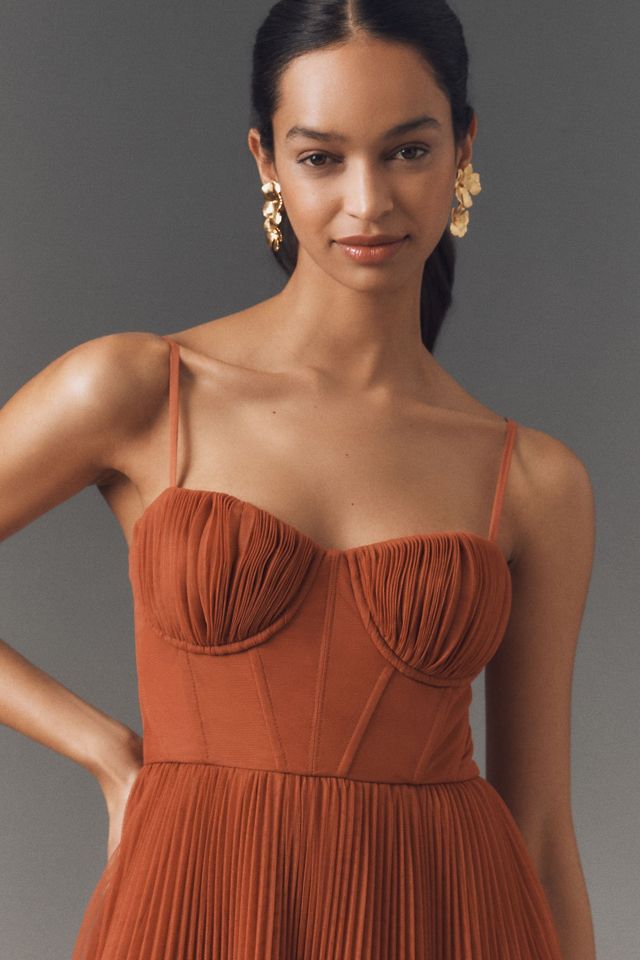Hutch Amara Corset Pleated Tulle Fit & Flare Midi Dress #1