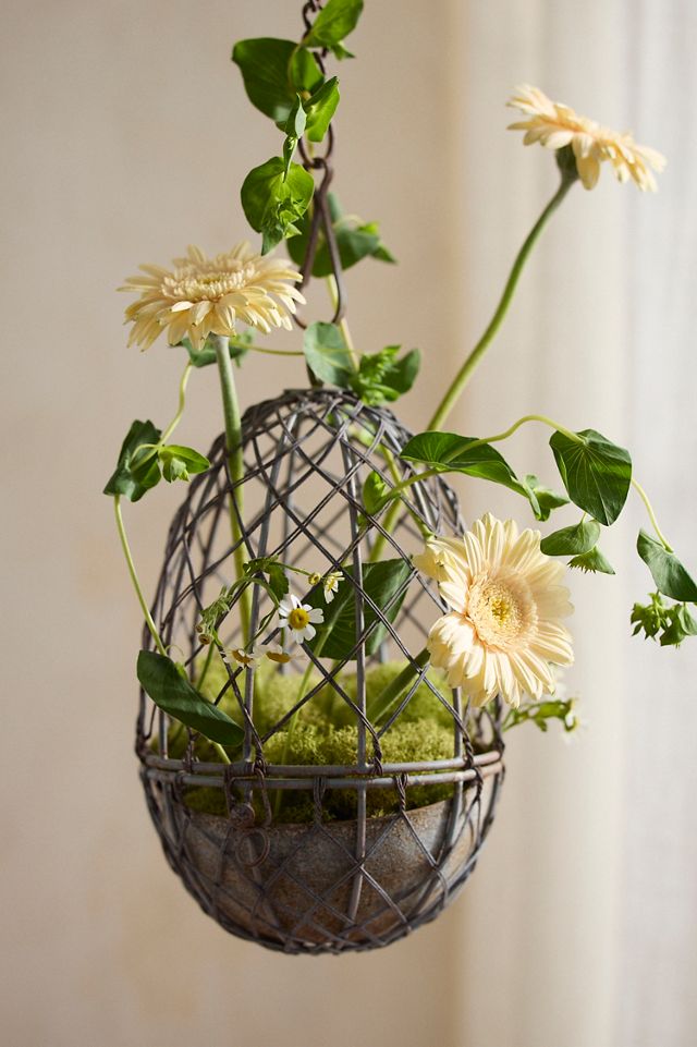 Hanging Wire Egg Basket #1