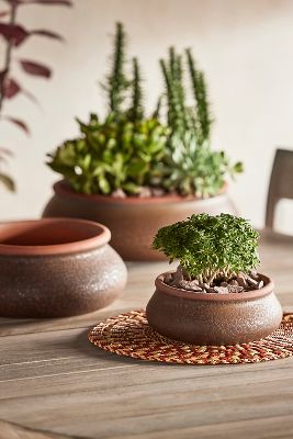 Terrain Contrast Rim Terracotta Bowl Planter In Multi