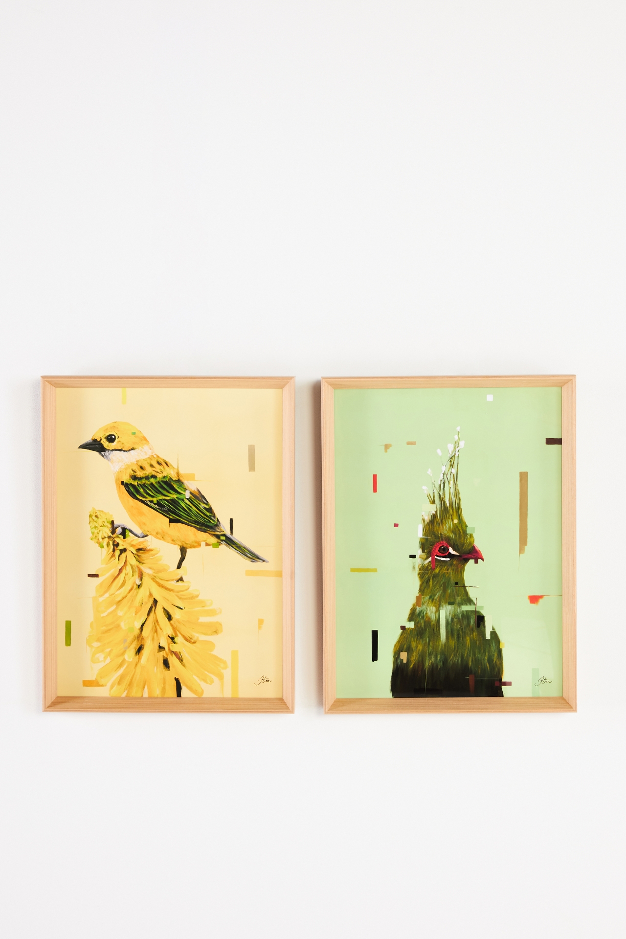 Color Birds Wall Art