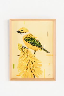 Color Birds Wall Art