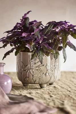 Shop Terrain Floral Embossed Stoneware Pot