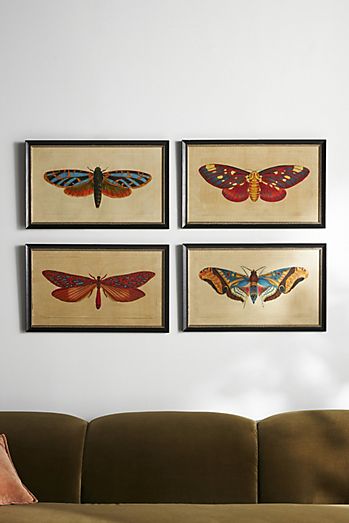 Crackled Moth Wall Art