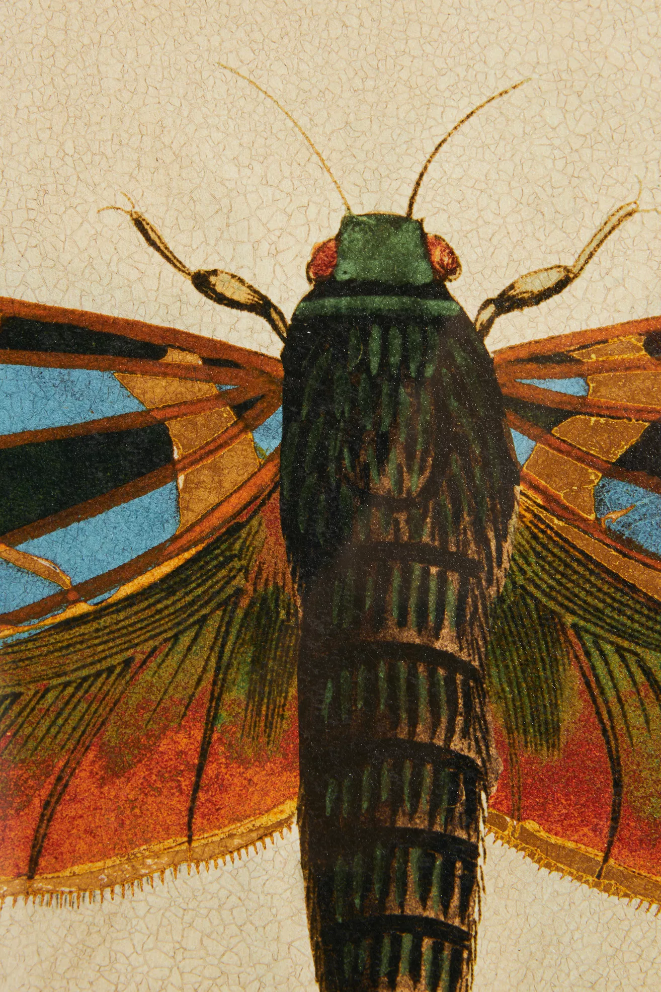 Crackled Moth Wall Art - thumbnail 4