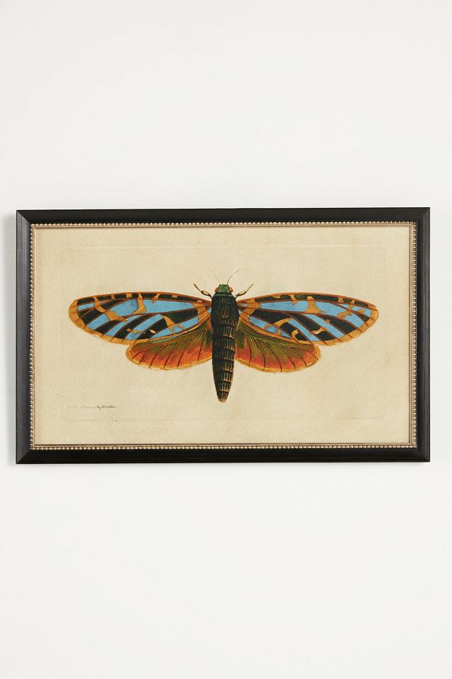 Crackled Moth Wall Art #2