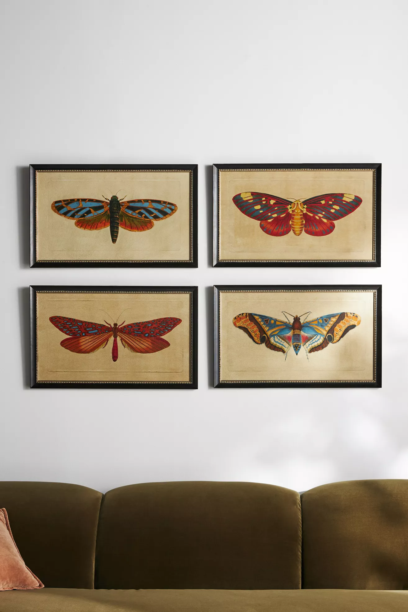 Crackled Moth Wall Art - thumbnail 7
