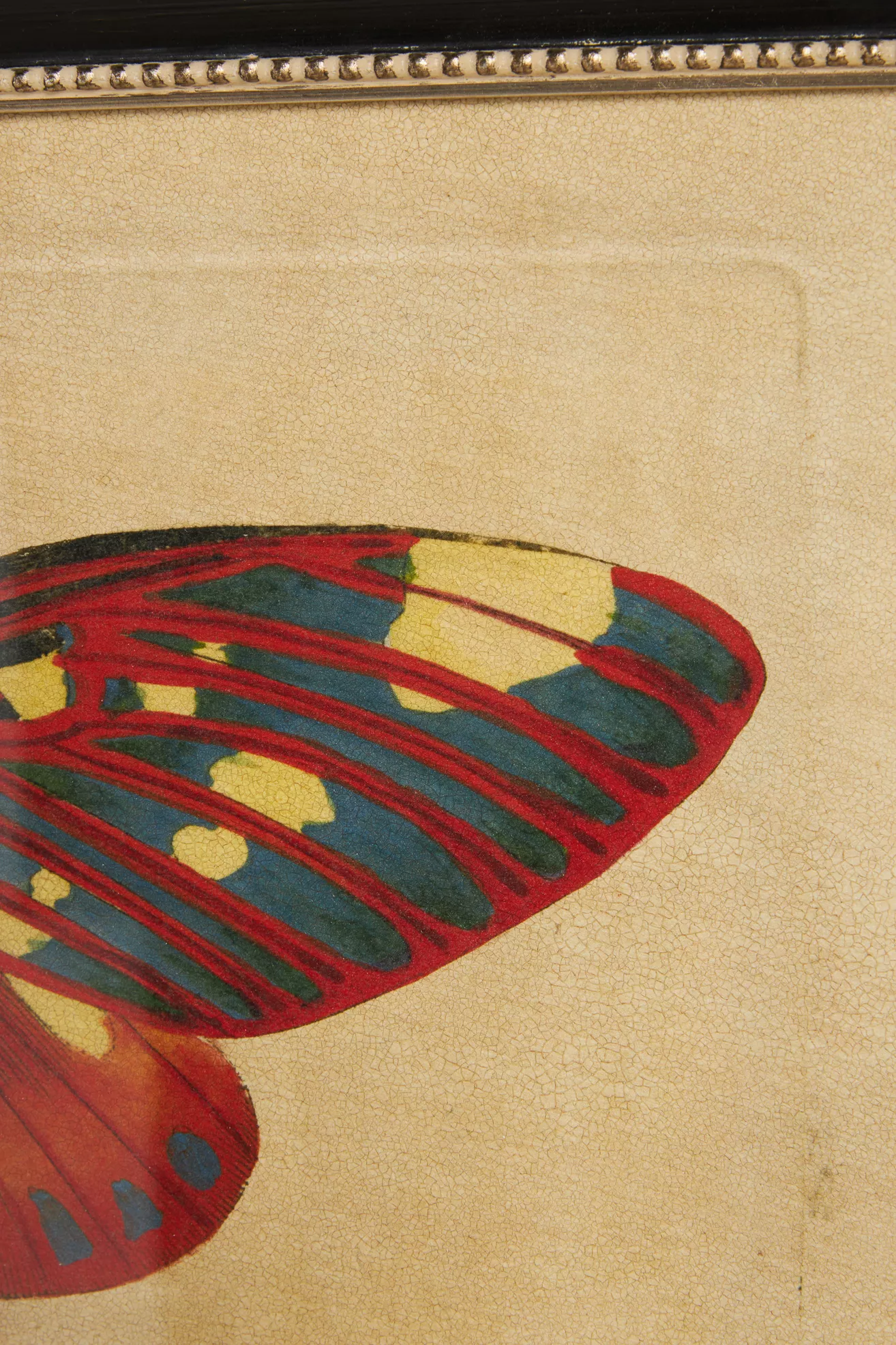 Crackled Moth Wall Art - thumbnail 6