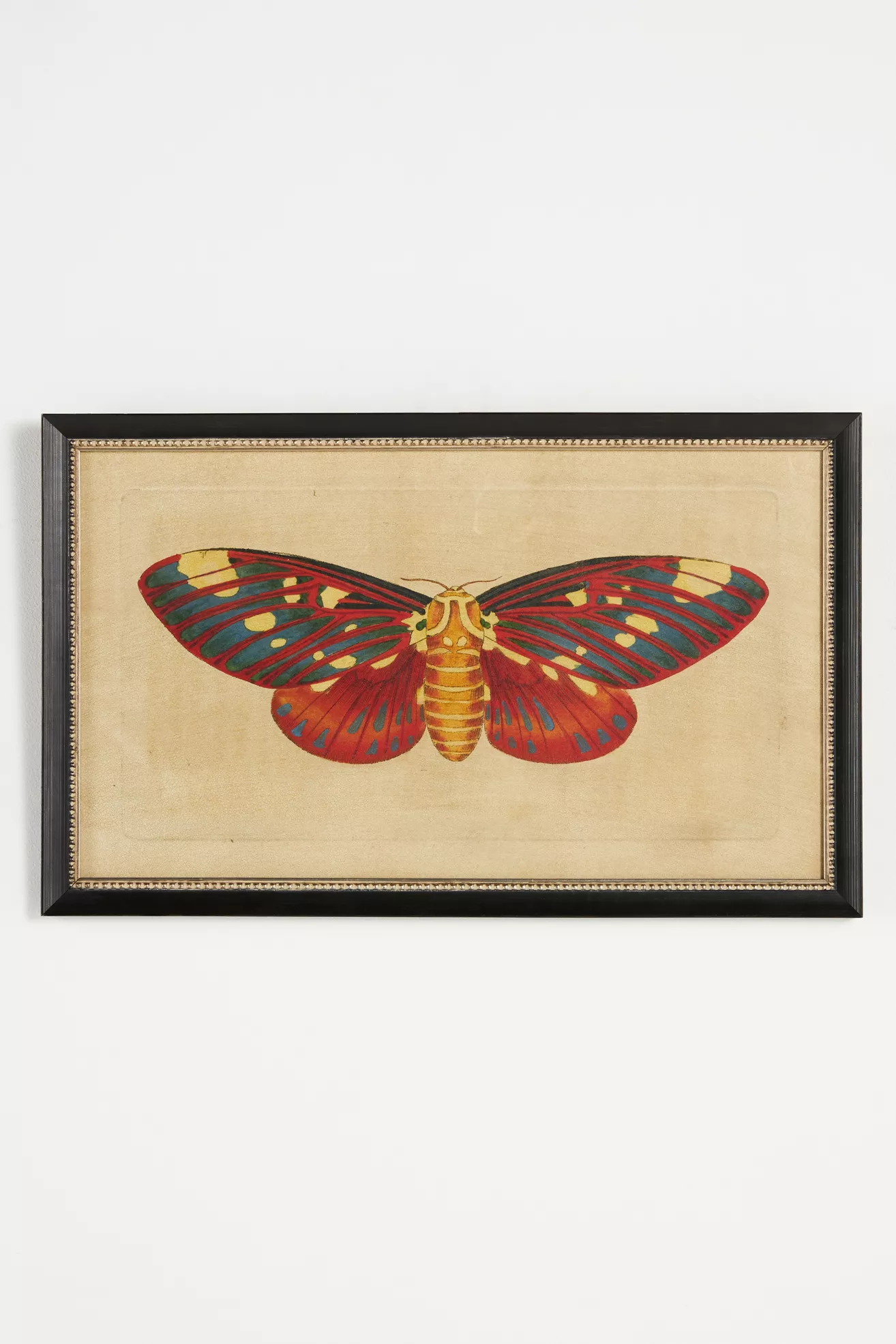 Crackled Moth Wall Art - thumbnail 5