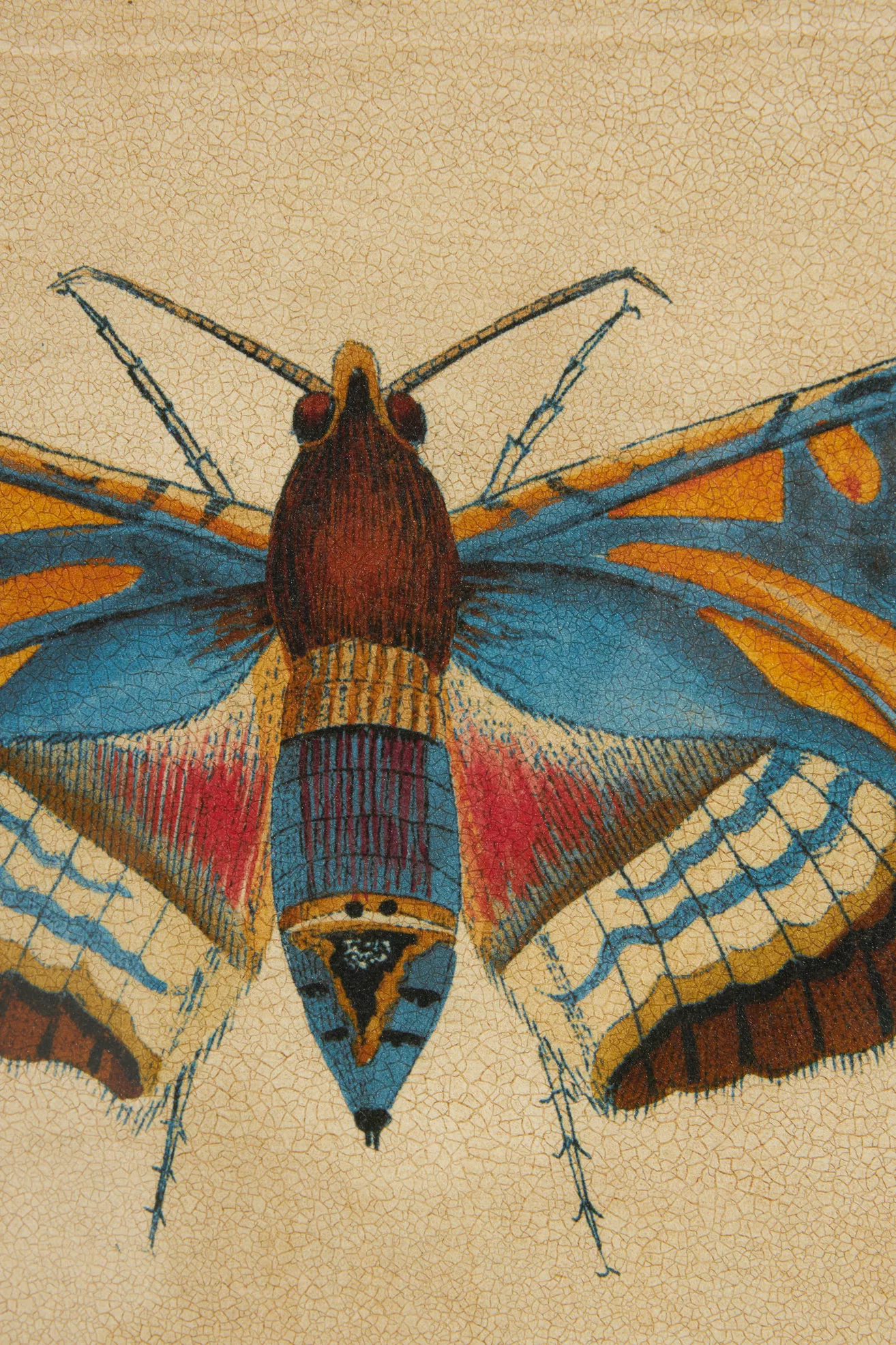 Crackled Moth Wall Art - thumbnail 10
