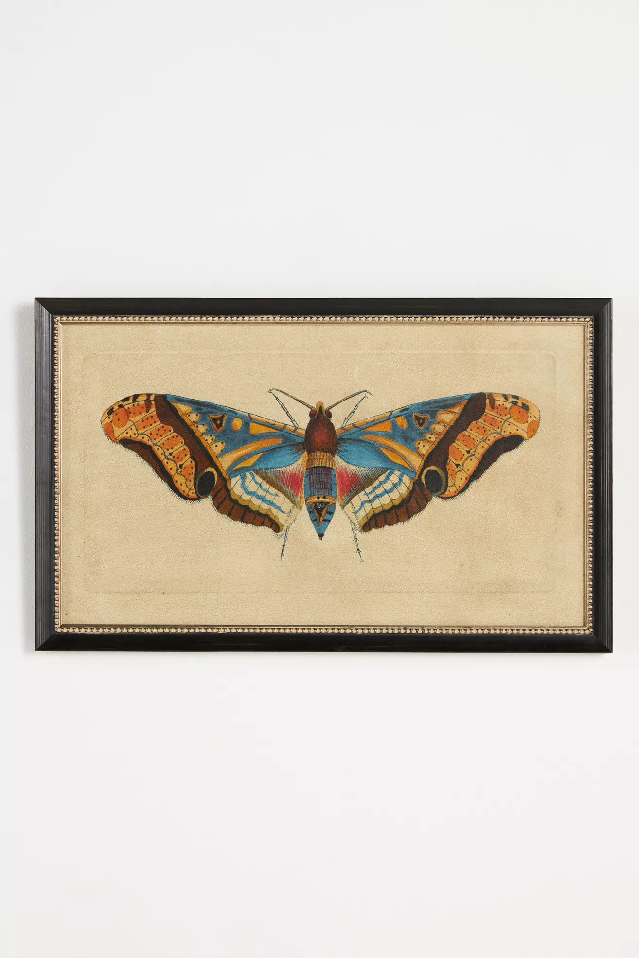 Crackled Moth Wall Art - thumbnail 9