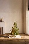 Faux Pre-Lit Norway Spruce, Small #1