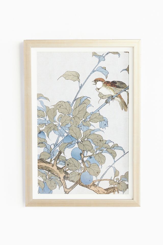 Ornithology Motif Wall Art | AnthroLiving