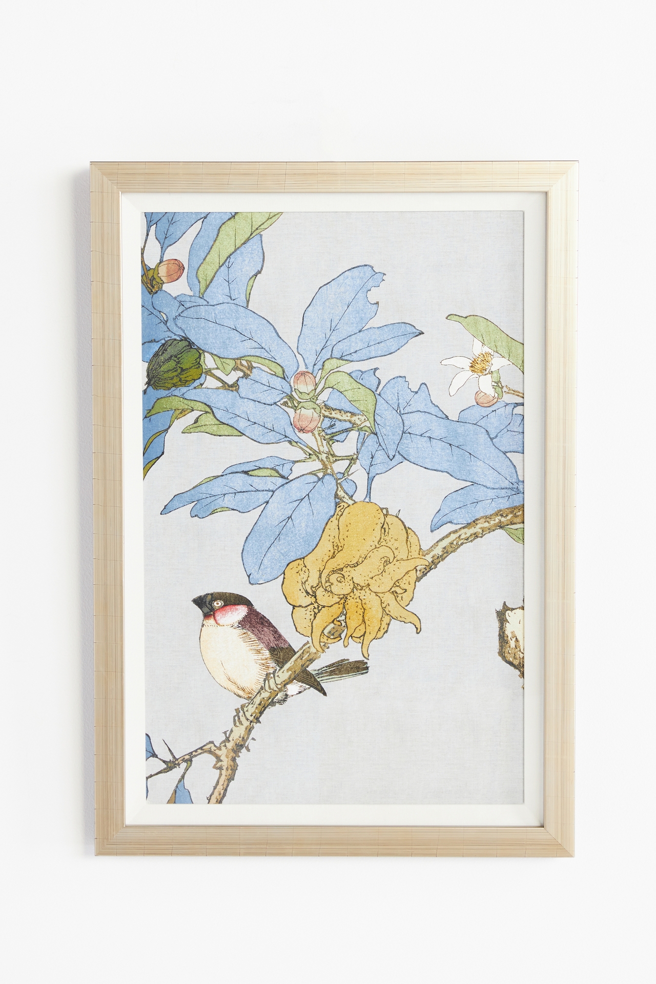 Ornithology Motif Wall Art