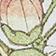 Chartreuse