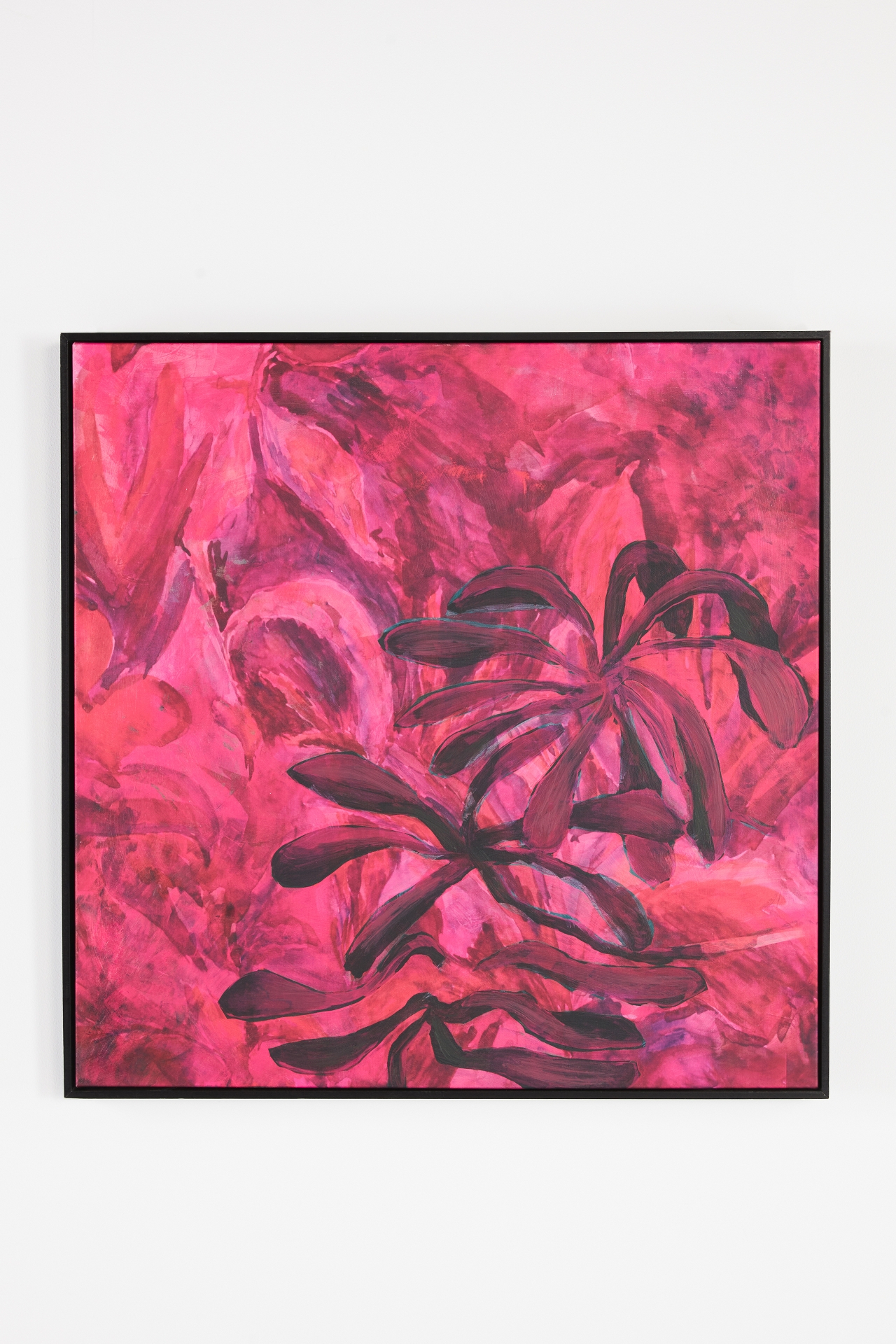 Fuchsia Blooms Wall Art