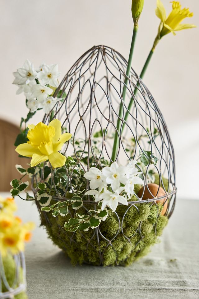 Wire Egg Cloche #1