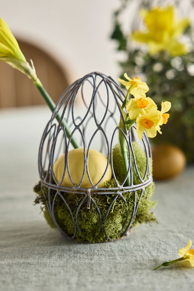 Wire Egg Cloche #3