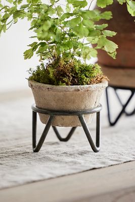 Terrain Tripod Plant Stand, Small In Neutral