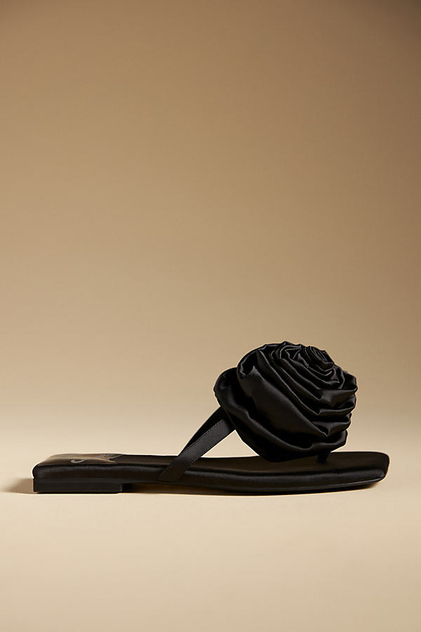 Jeffrey Campbell 3d Flower Sandals In Black