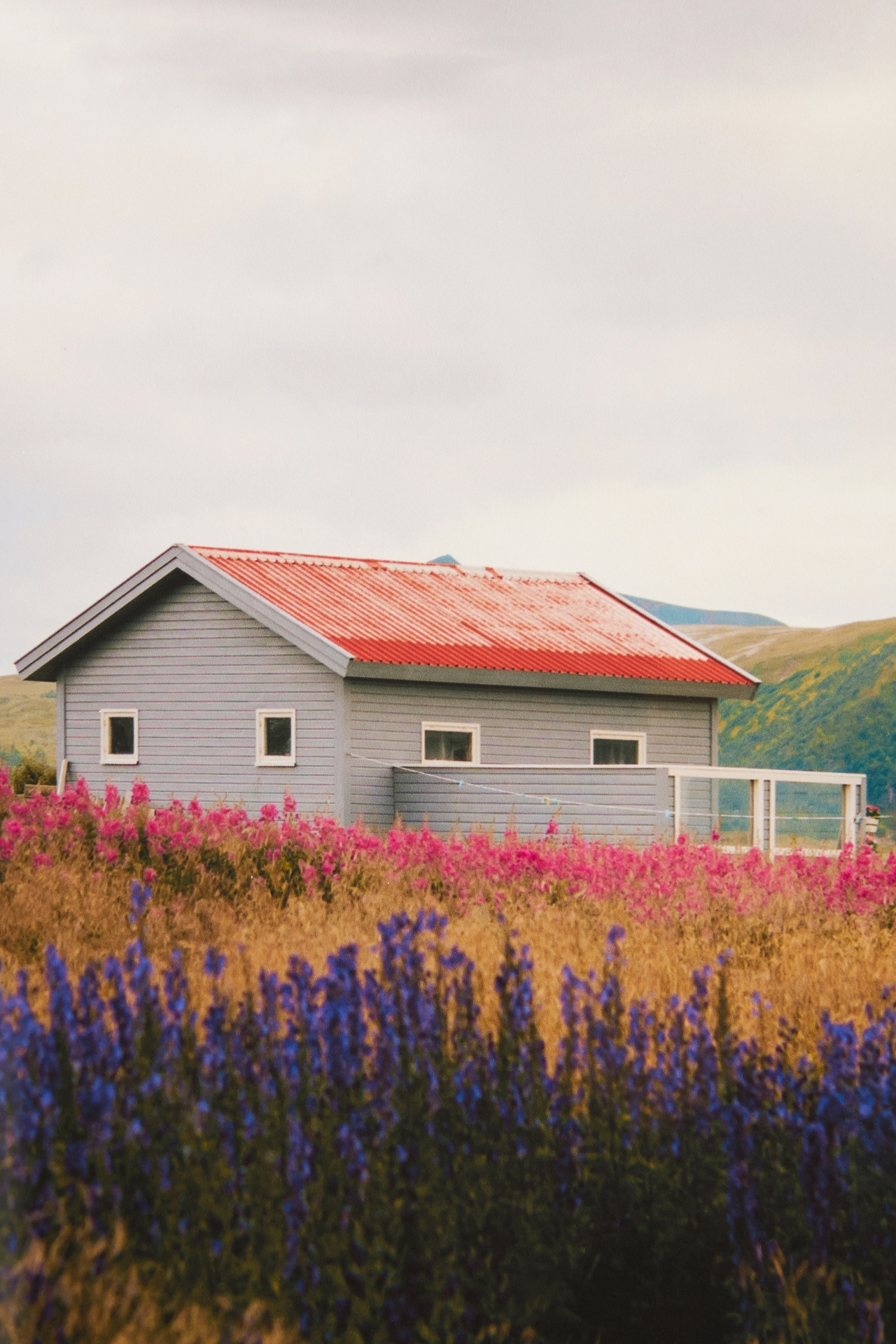 Countryside in Norway Wall Art